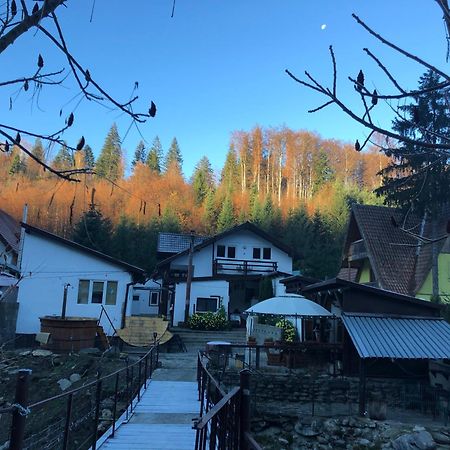 Podul De Brazi - Fir Bridge Villa Cîrţişoara Buitenkant foto