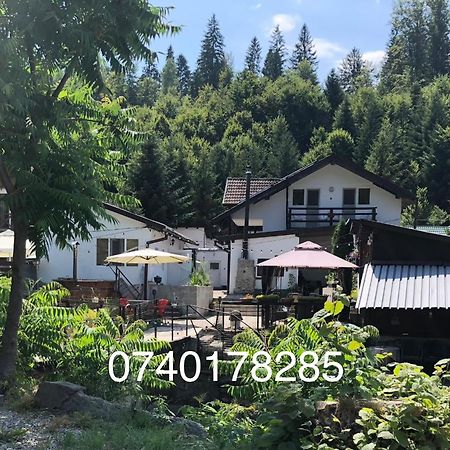 Podul De Brazi - Fir Bridge Villa Cîrţişoara Buitenkant foto