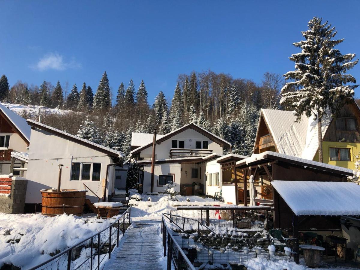 Podul De Brazi - Fir Bridge Villa Cîrţişoara Buitenkant foto