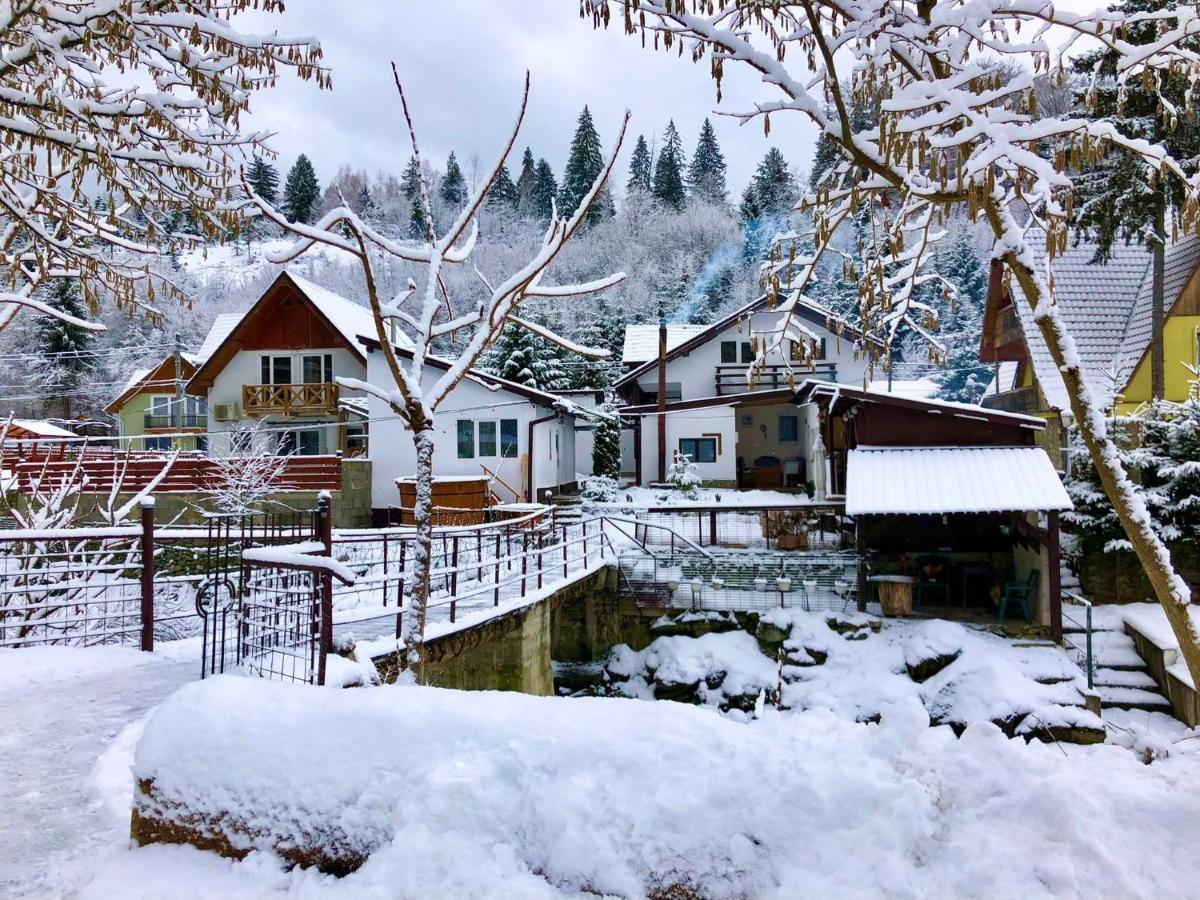 Podul De Brazi - Fir Bridge Villa Cîrţişoara Buitenkant foto