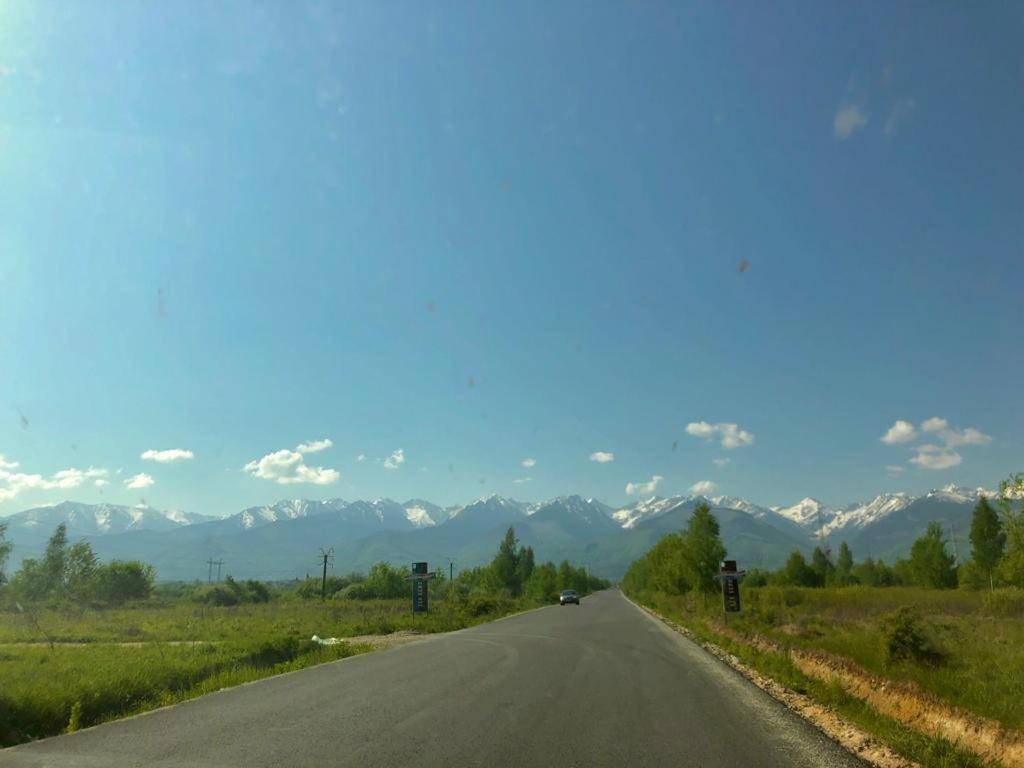 Podul De Brazi - Fir Bridge Villa Cîrţişoara Buitenkant foto