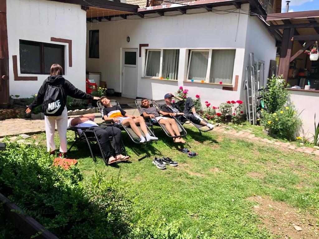 Podul De Brazi - Fir Bridge Villa Cîrţişoara Buitenkant foto