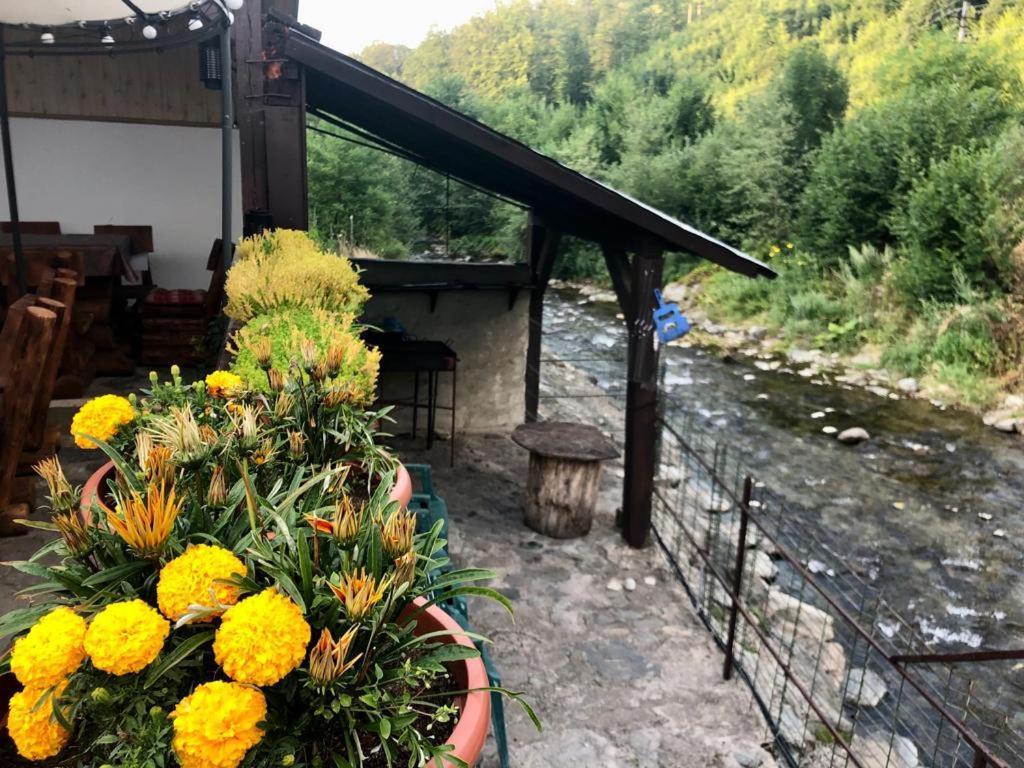 Podul De Brazi - Fir Bridge Villa Cîrţişoara Buitenkant foto
