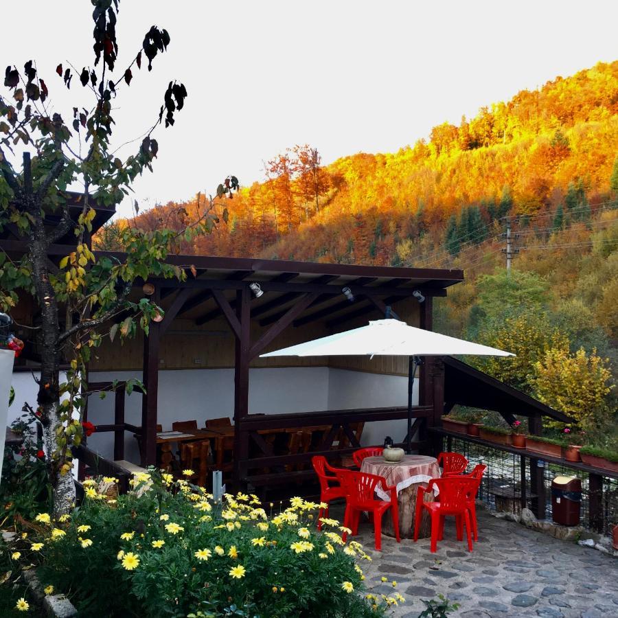 Podul De Brazi - Fir Bridge Villa Cîrţişoara Buitenkant foto