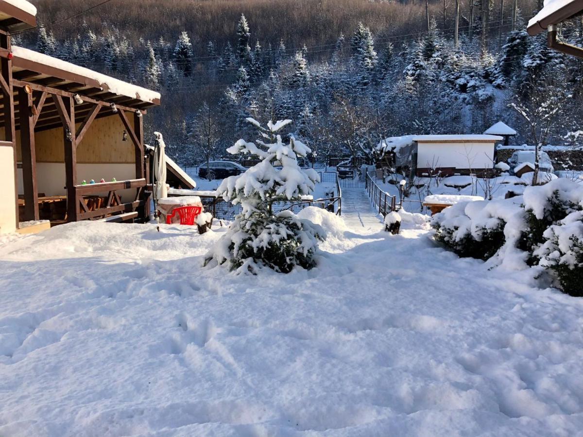 Podul De Brazi - Fir Bridge Villa Cîrţişoara Buitenkant foto