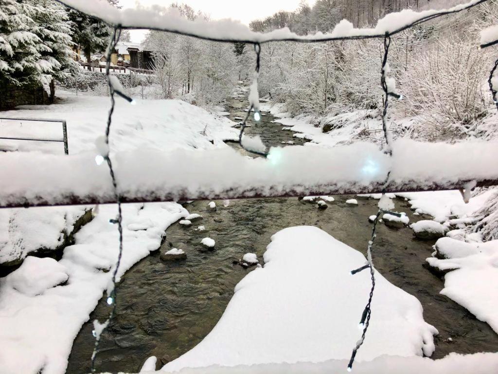 Podul De Brazi - Fir Bridge Villa Cîrţişoara Buitenkant foto