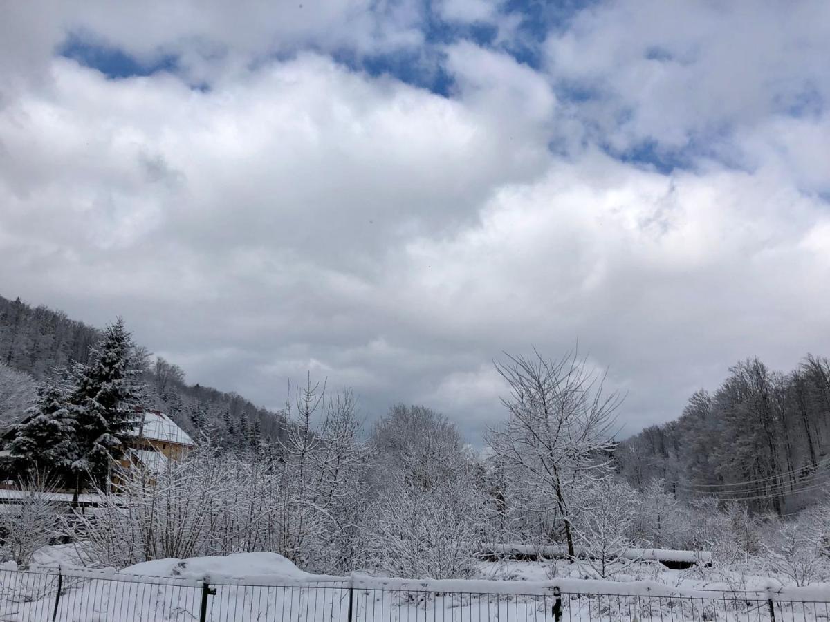 Podul De Brazi - Fir Bridge Villa Cîrţişoara Buitenkant foto