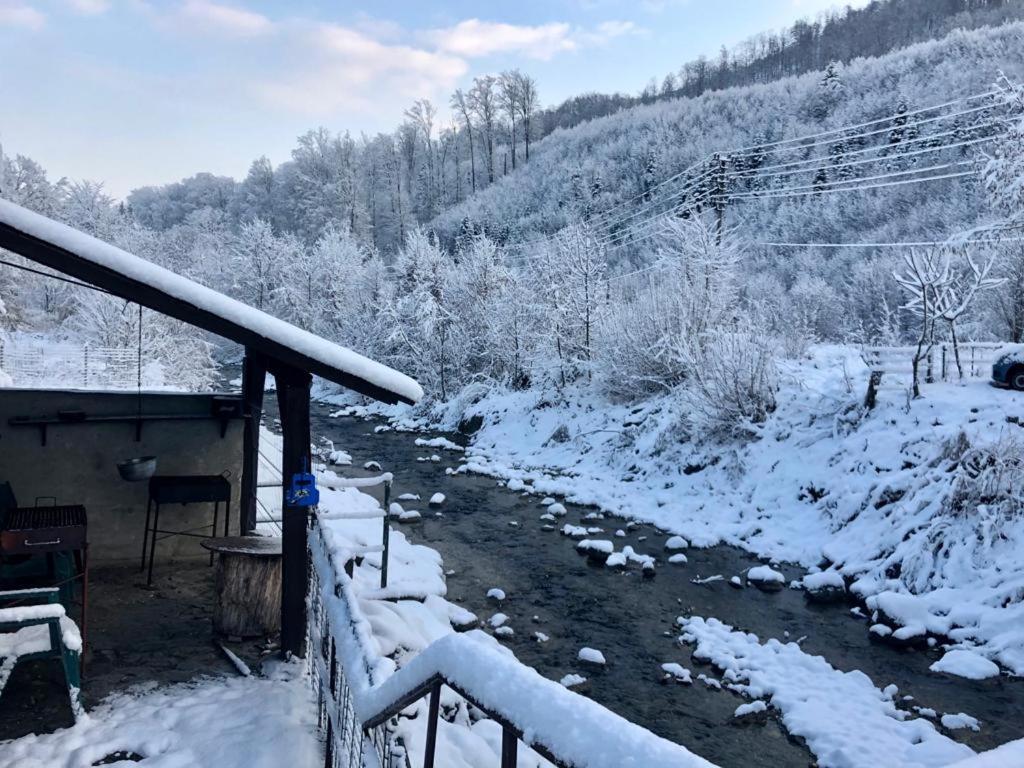 Podul De Brazi - Fir Bridge Villa Cîrţişoara Buitenkant foto