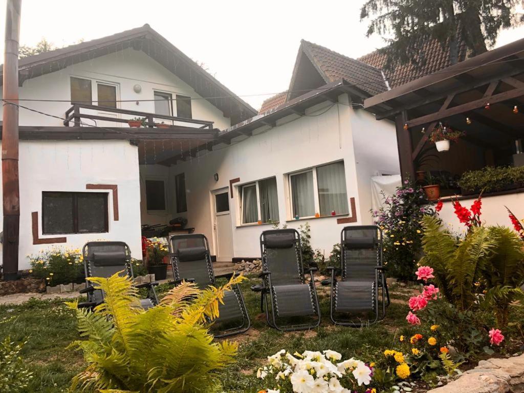 Podul De Brazi - Fir Bridge Villa Cîrţişoara Buitenkant foto