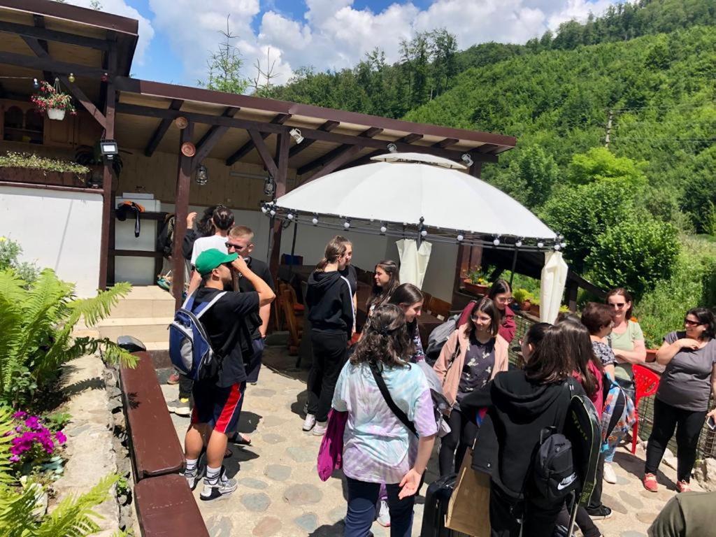 Podul De Brazi - Fir Bridge Villa Cîrţişoara Buitenkant foto