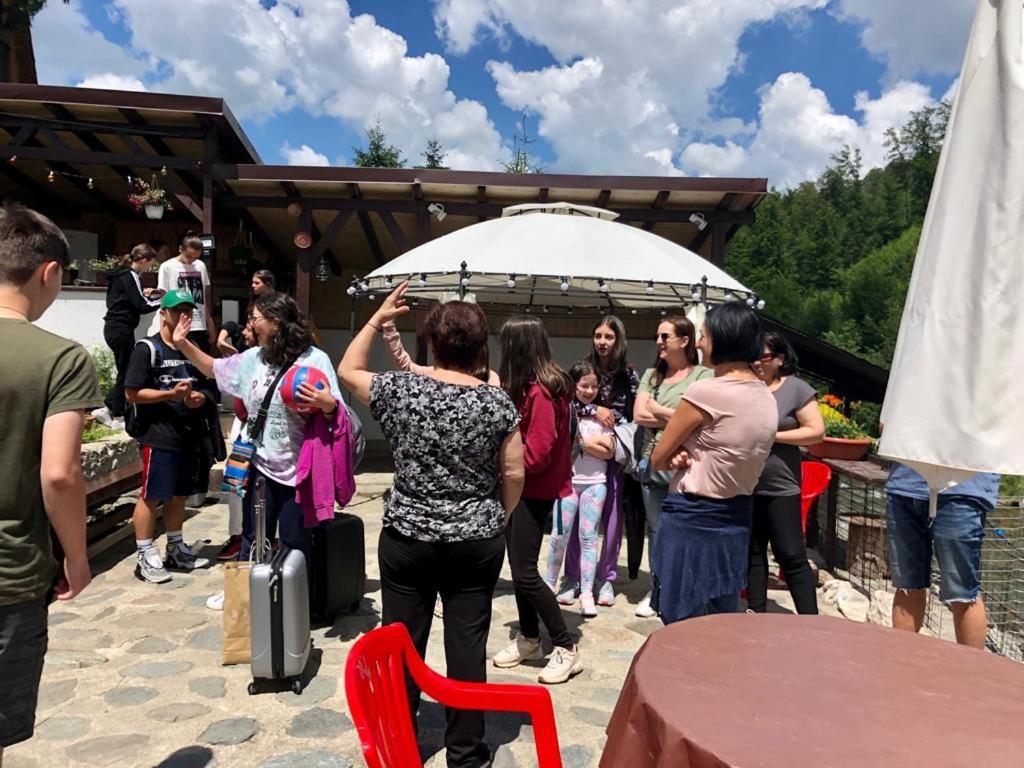 Podul De Brazi - Fir Bridge Villa Cîrţişoara Buitenkant foto