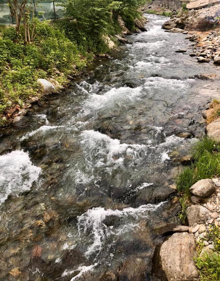 Podul De Brazi - Fir Bridge Villa Cîrţişoara Buitenkant foto