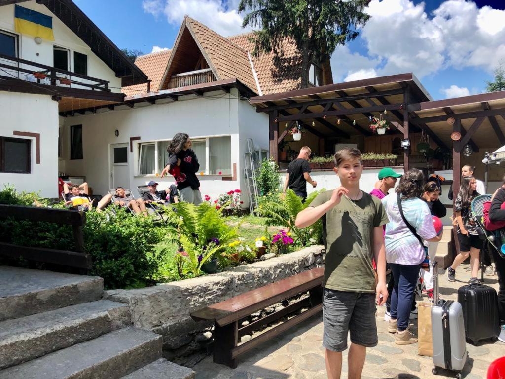 Podul De Brazi - Fir Bridge Villa Cîrţişoara Buitenkant foto