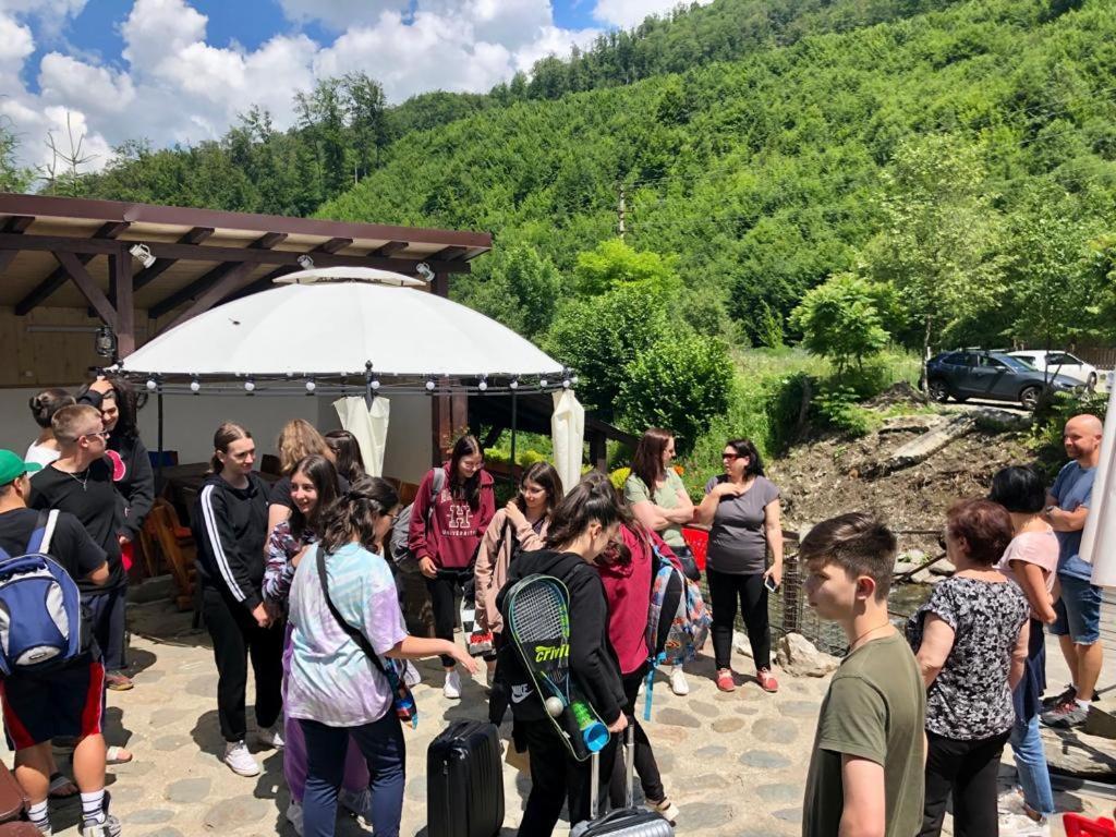 Podul De Brazi - Fir Bridge Villa Cîrţişoara Buitenkant foto