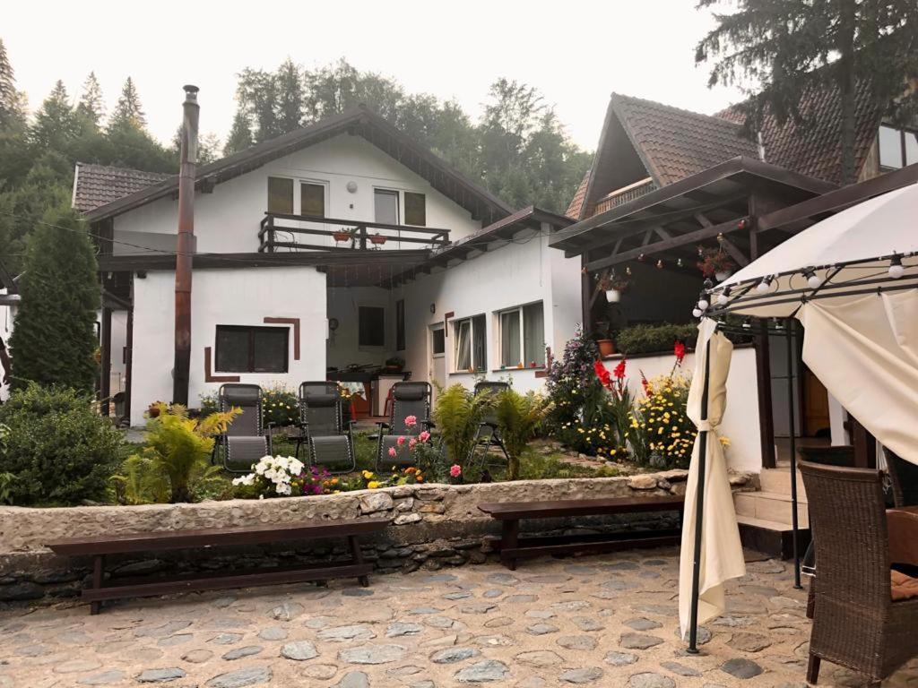 Podul De Brazi - Fir Bridge Villa Cîrţişoara Buitenkant foto