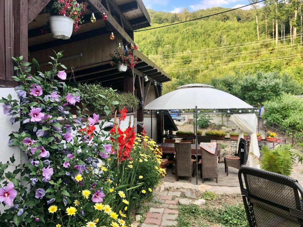 Podul De Brazi - Fir Bridge Villa Cîrţişoara Buitenkant foto
