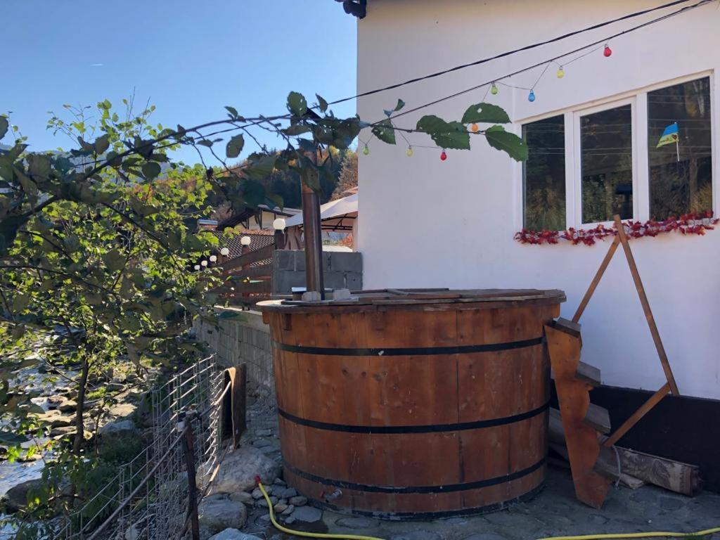 Podul De Brazi - Fir Bridge Villa Cîrţişoara Buitenkant foto
