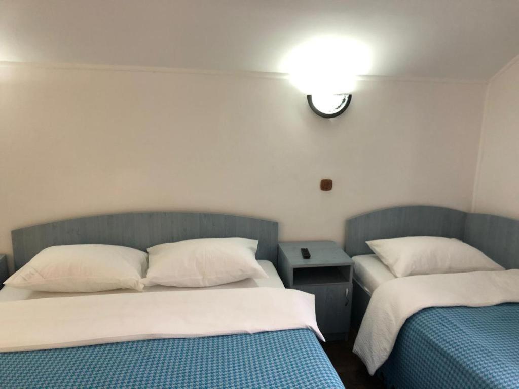 Podul De Brazi - Fir Bridge Villa Cîrţişoara Kamer foto