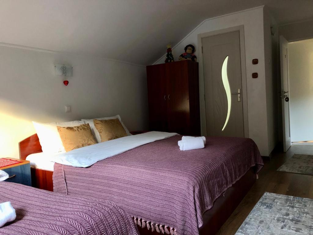 Podul De Brazi - Fir Bridge Villa Cîrţişoara Kamer foto