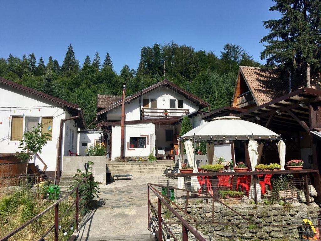 Podul De Brazi - Fir Bridge Villa Cîrţişoara Buitenkant foto