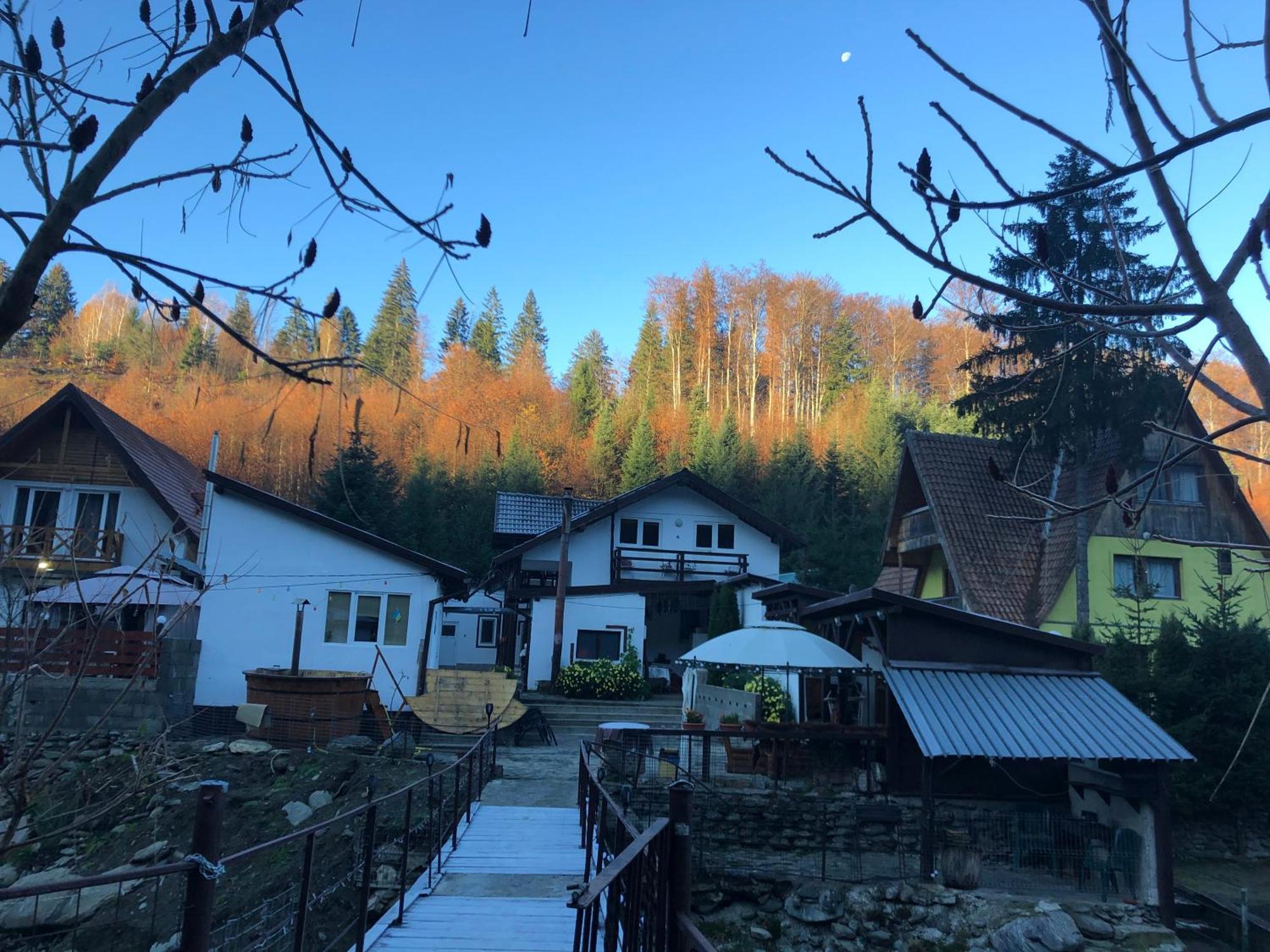 Podul De Brazi - Fir Bridge Villa Cîrţişoara Buitenkant foto