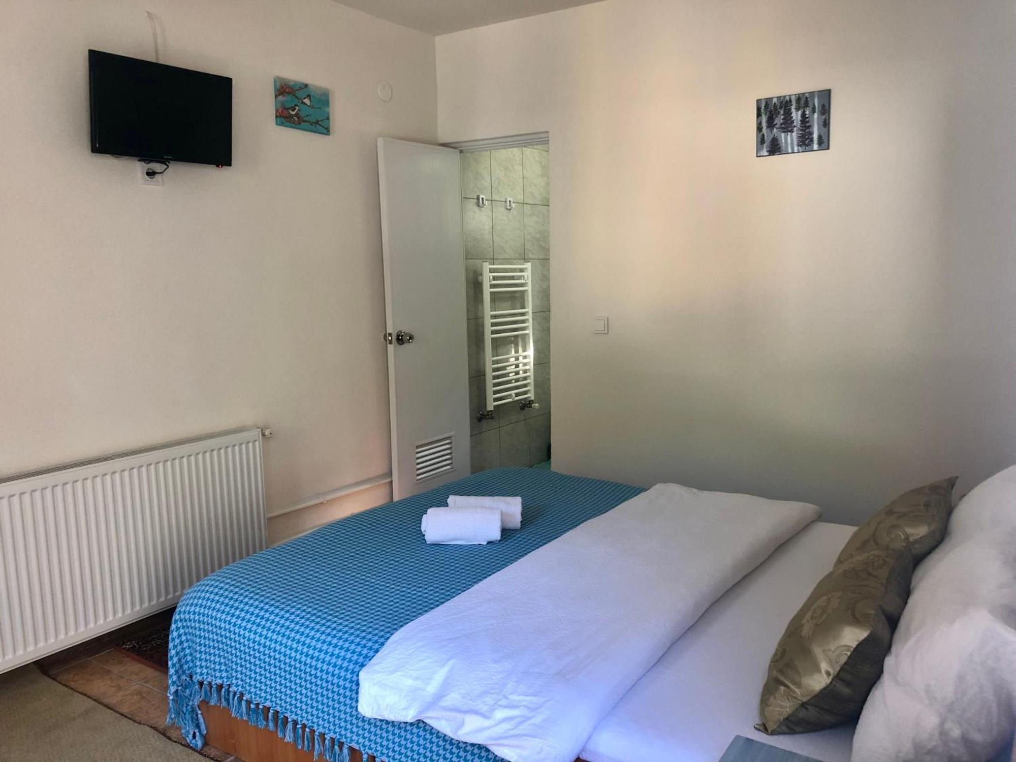 Podul De Brazi - Fir Bridge Villa Cîrţişoara Kamer foto
