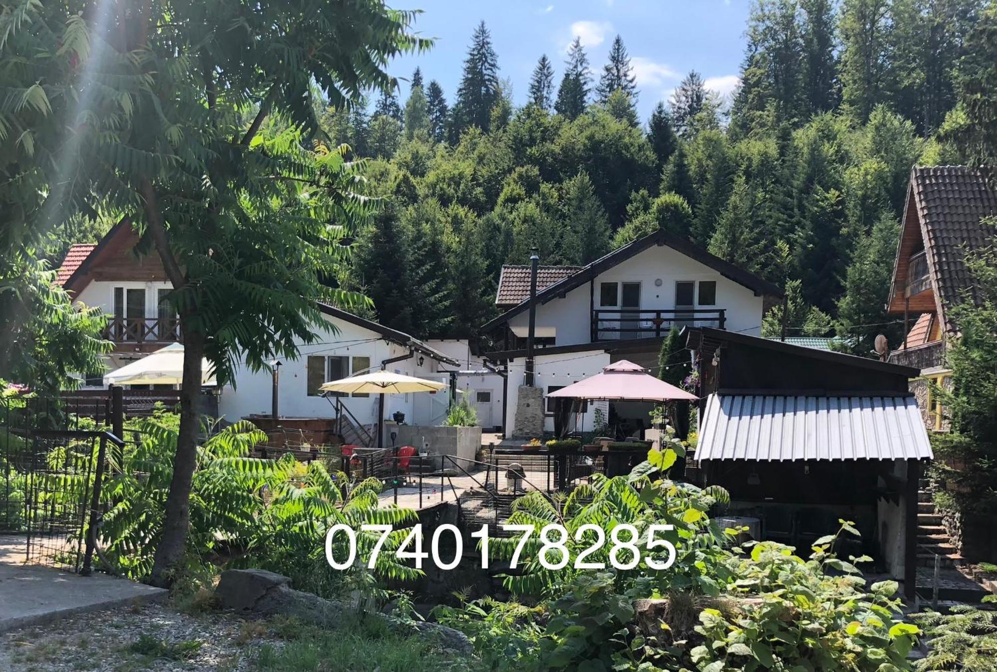 Podul De Brazi - Fir Bridge Villa Cîrţişoara Buitenkant foto